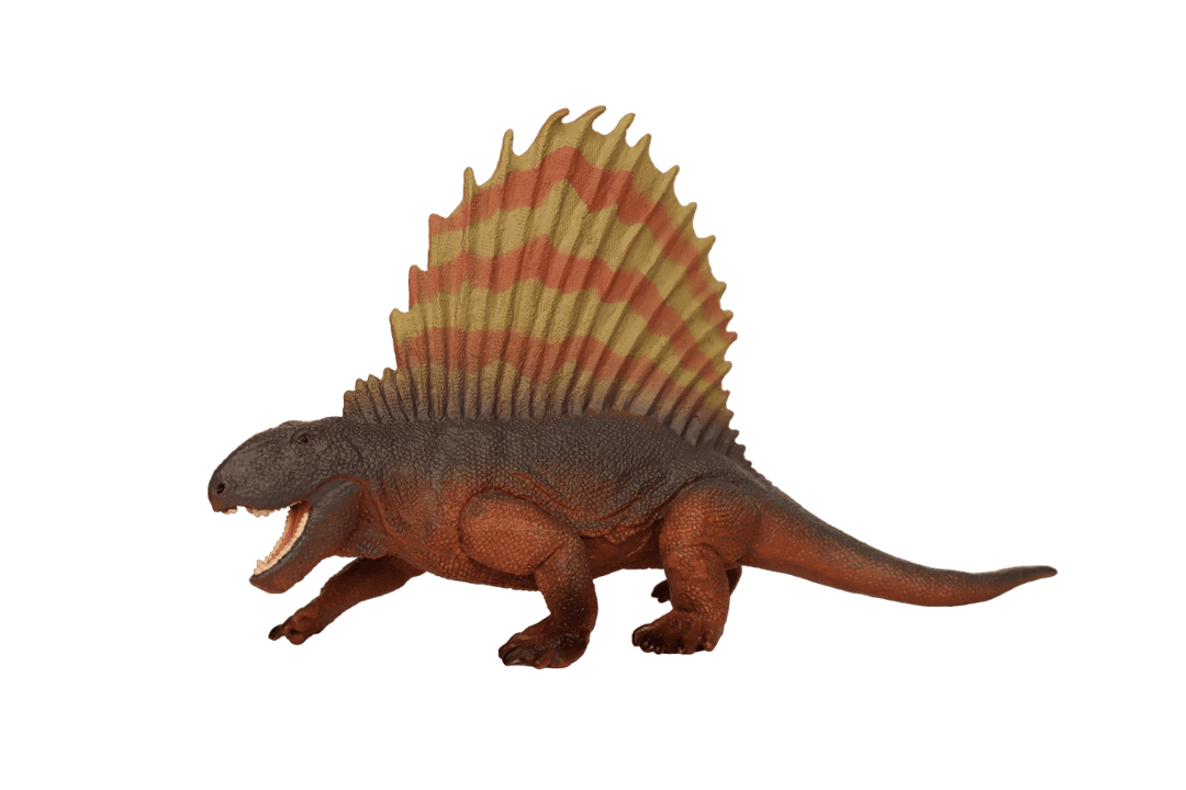 Dimetrodon