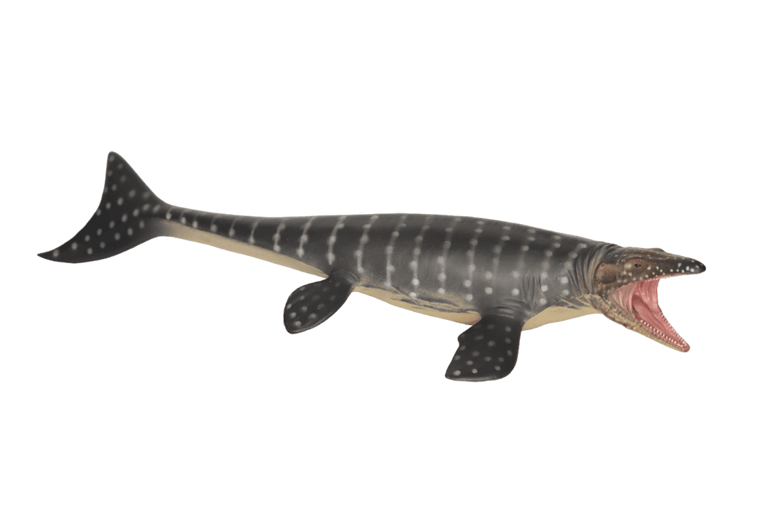 Mosasaurus