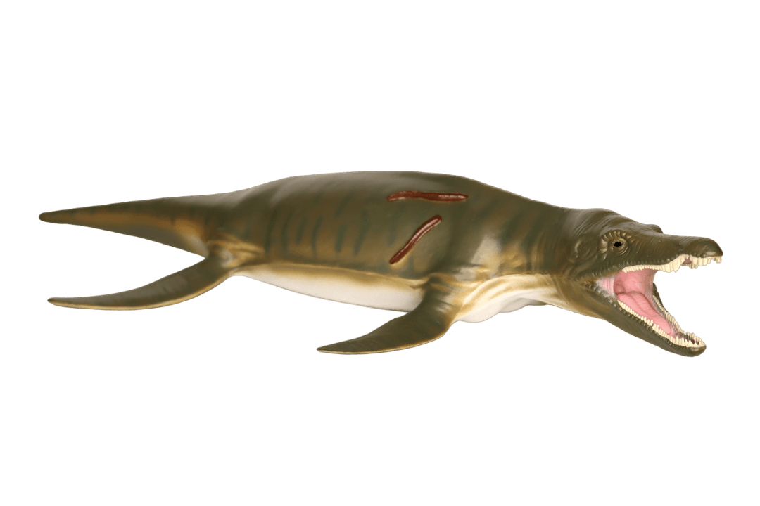 Pliosaurus