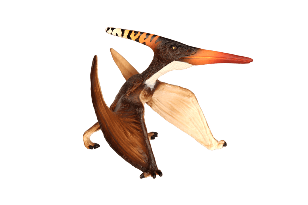 Pteranodon