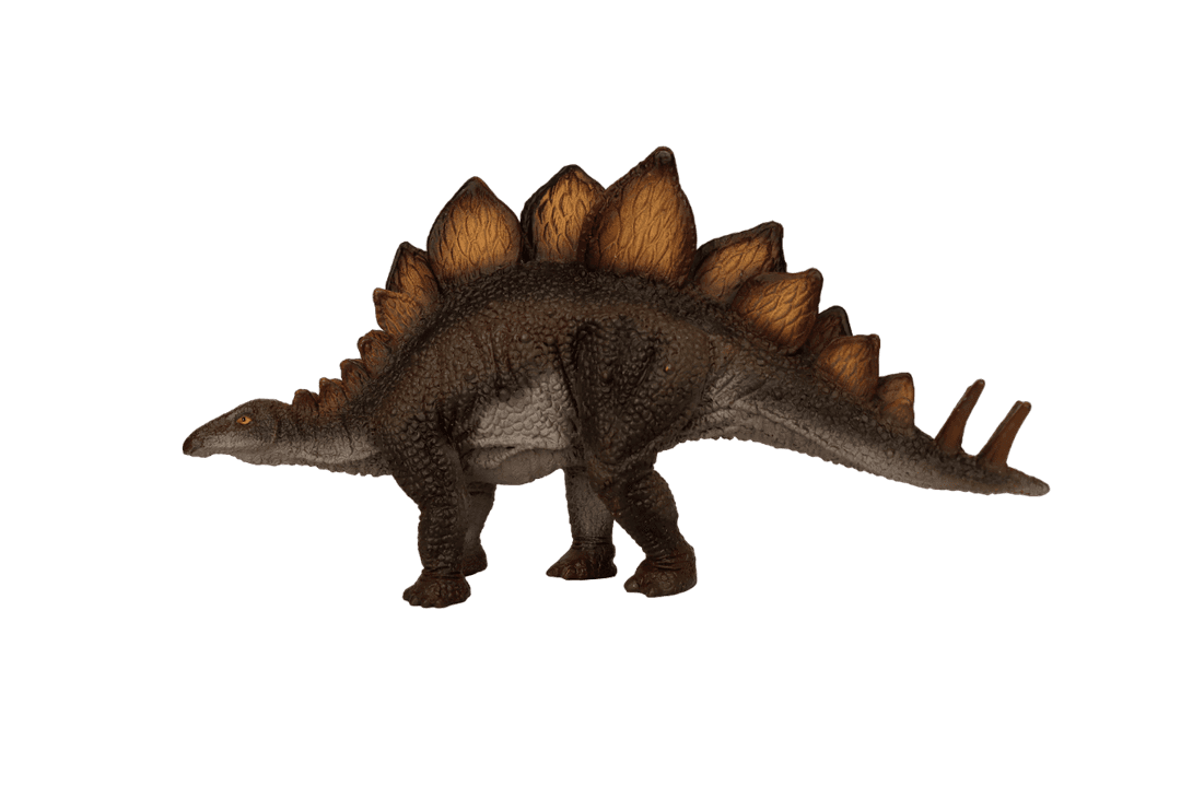 Stegosaurus