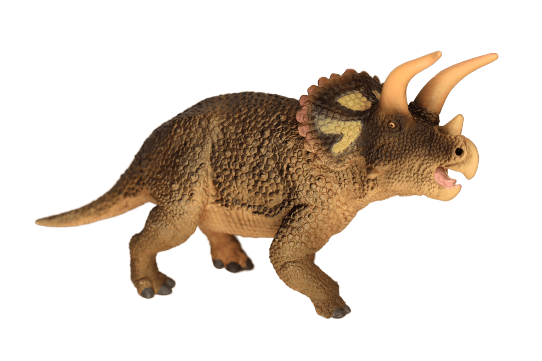 Triceratops