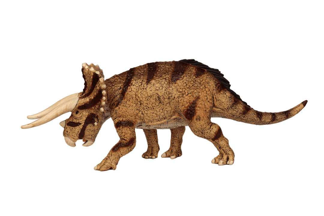 Triceratops