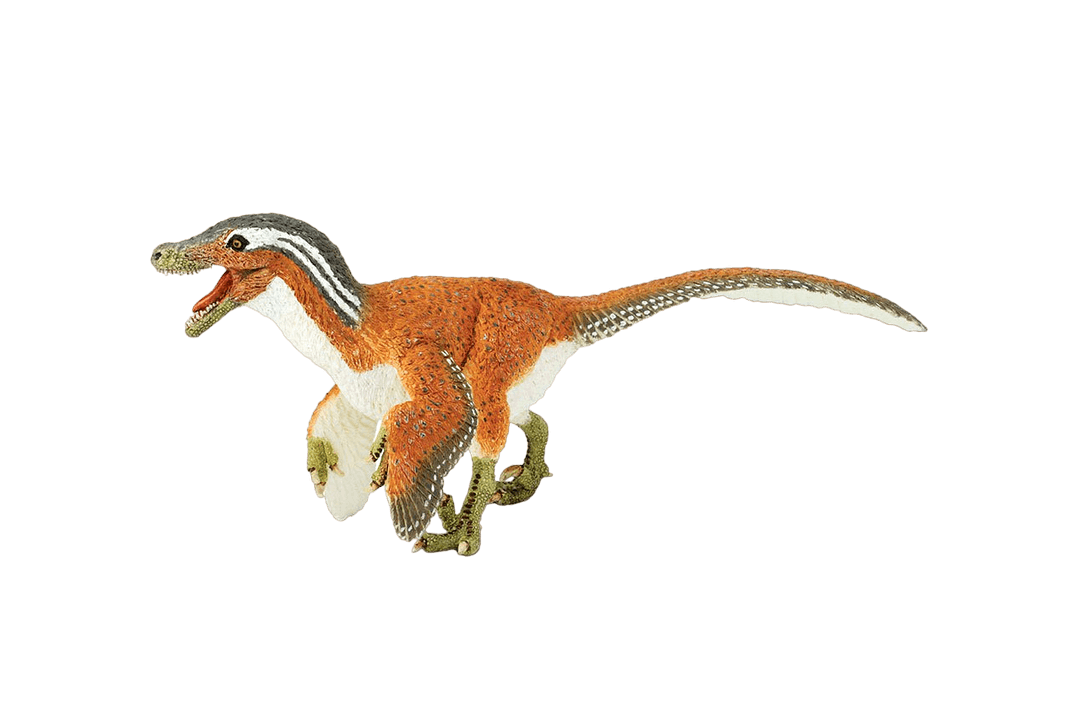 Velociraptor