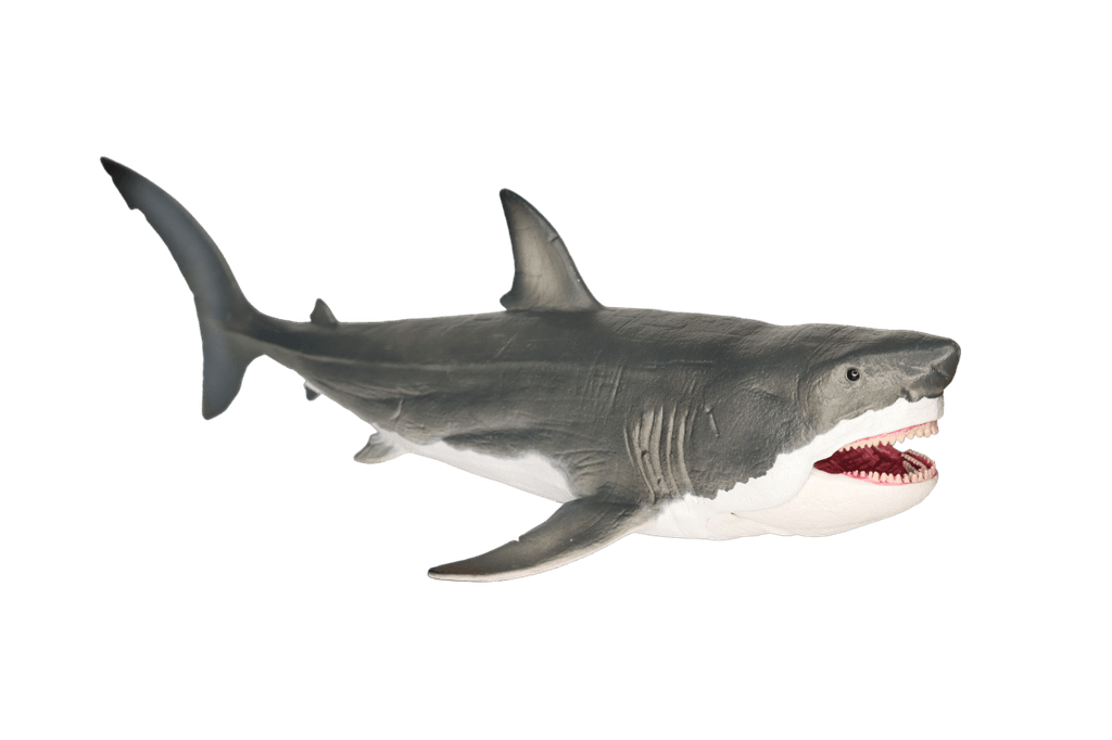Megalodon