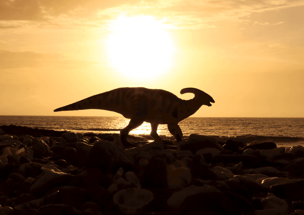 Carte - Parasaurolophus