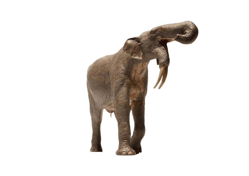 Deinotherium