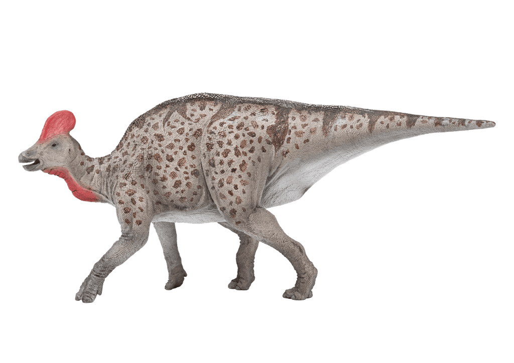 Magnapaulia
