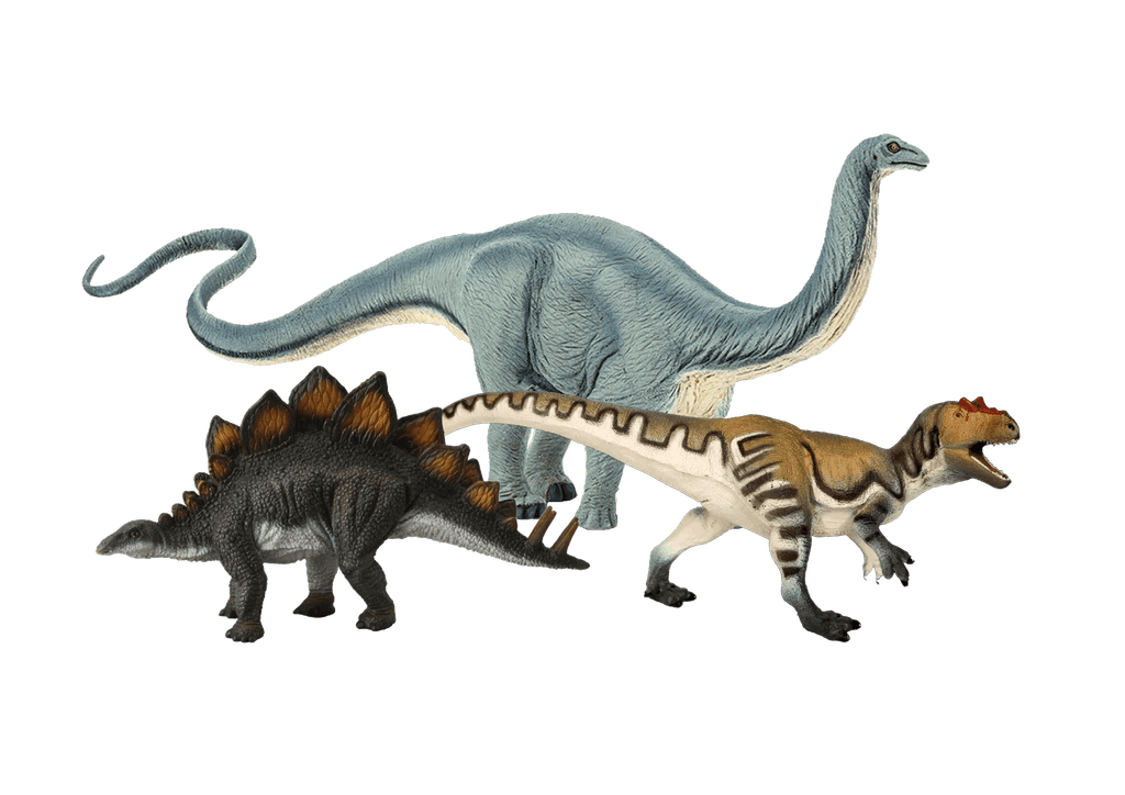 Pack - Morrison Formation II