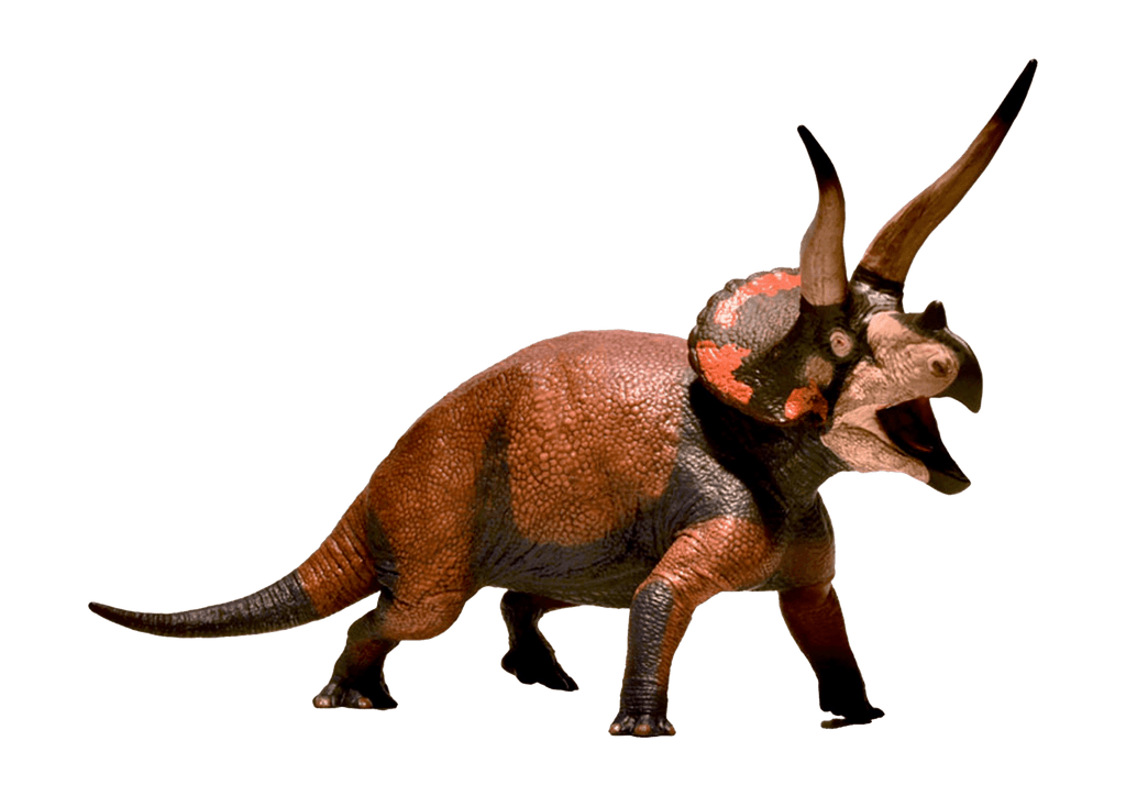 Triceratops
